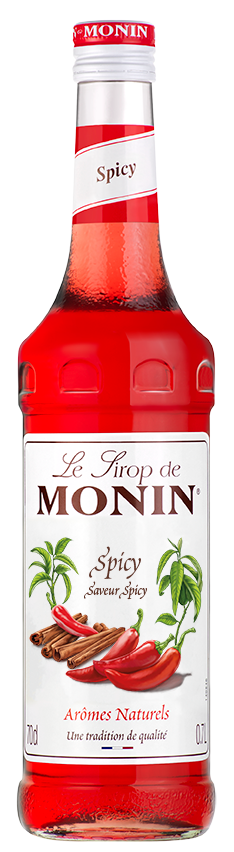 SIROP MONIN SPICY 0.70