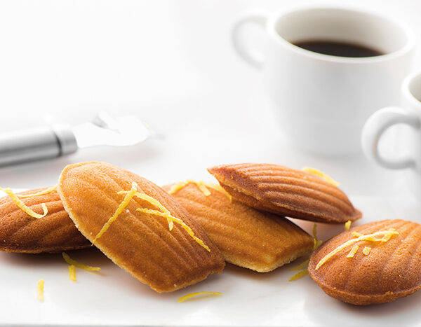 FRITEL Plaques pour 8 Madeleines