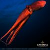Savanna 2010 - Unshared Cask Belgium – Image 2