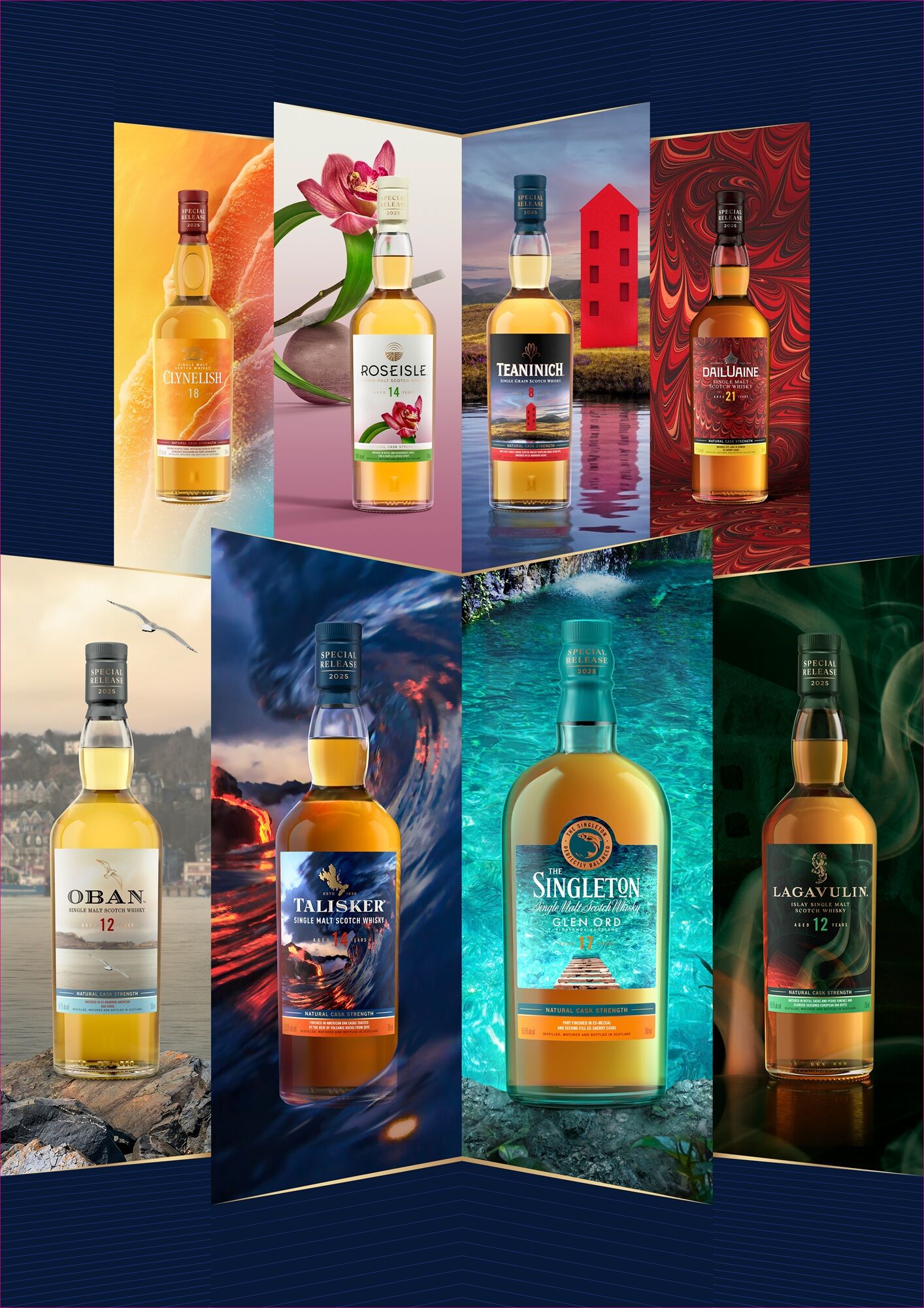 TEANINICH 8Y SPECIAL RELEASE 2025 70CL – Image 2